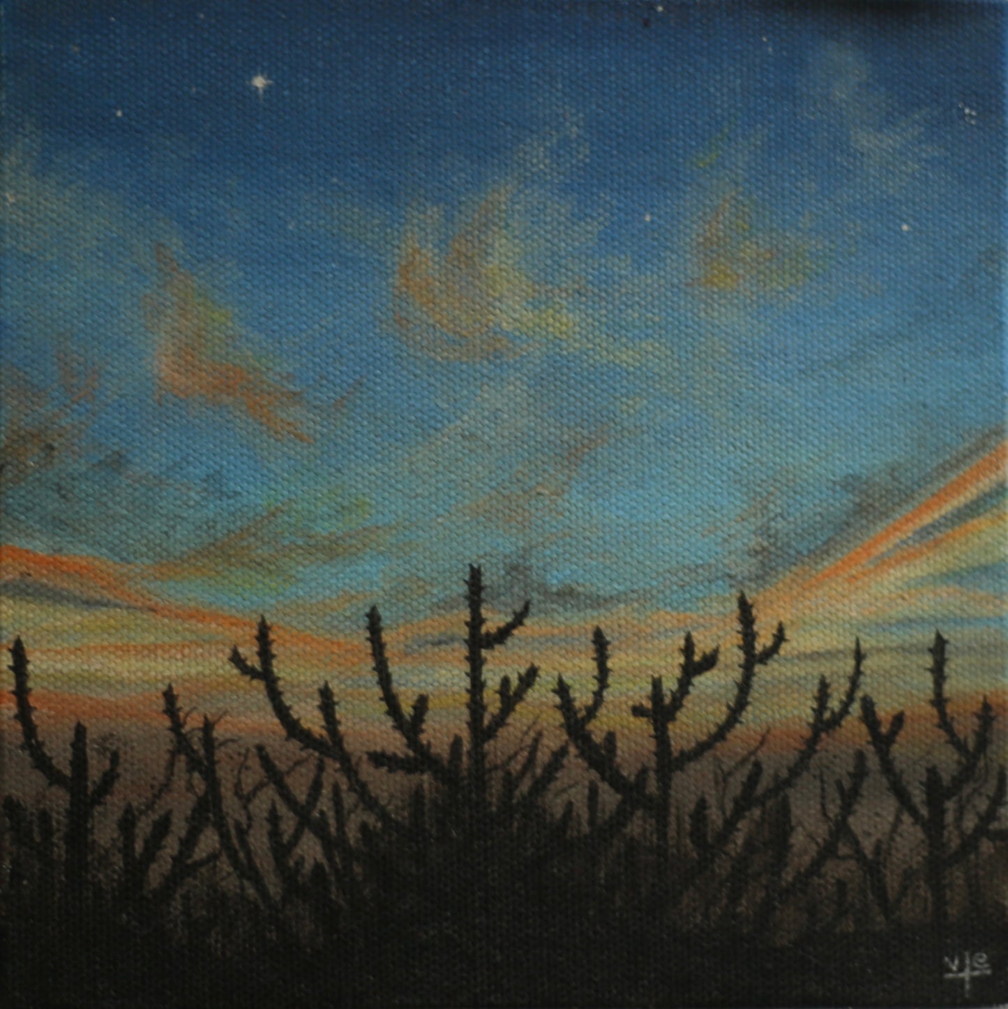 Sunset Cactus