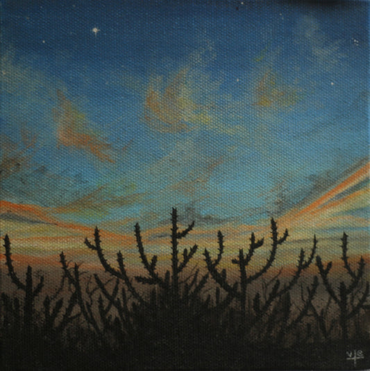 Sunset Cactus